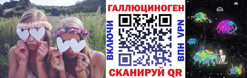 Псилоцибиновые грибы Psilocybe  Пересвет 
